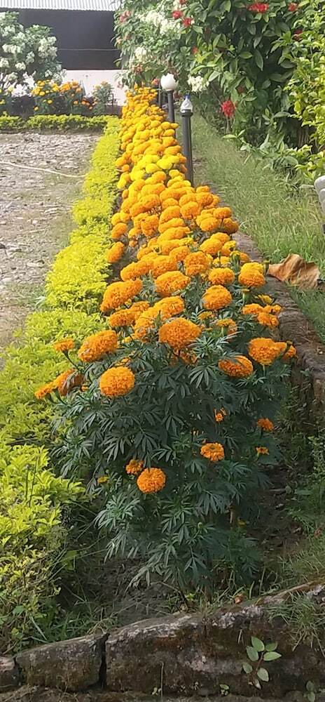 Hotel Gorkha Hamlet Resort