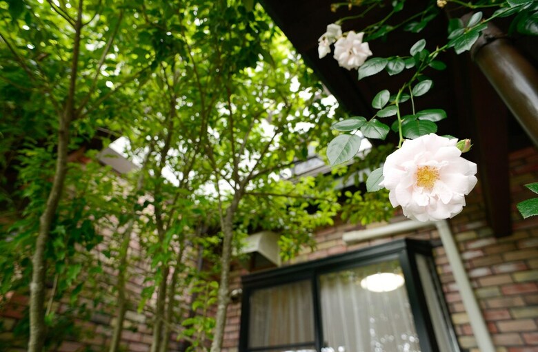 Kawaguchiko Country Cottage Ban