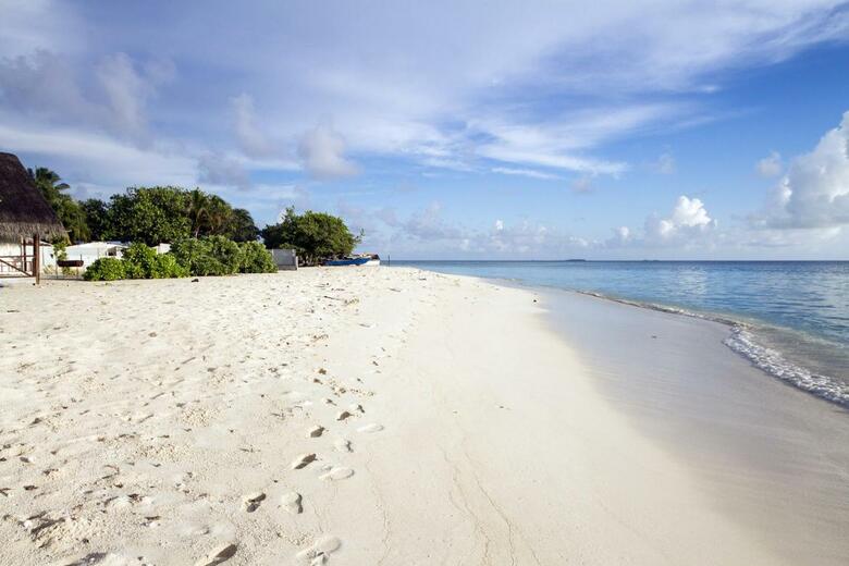 Tropic Tree Hotel Maldives
