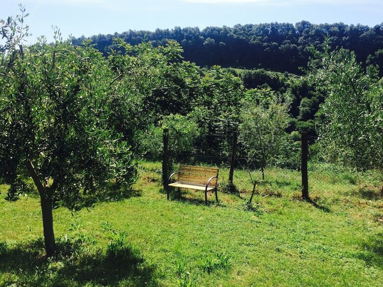 Agroturismo Bio Agriturismo Valle Dei Calanchi