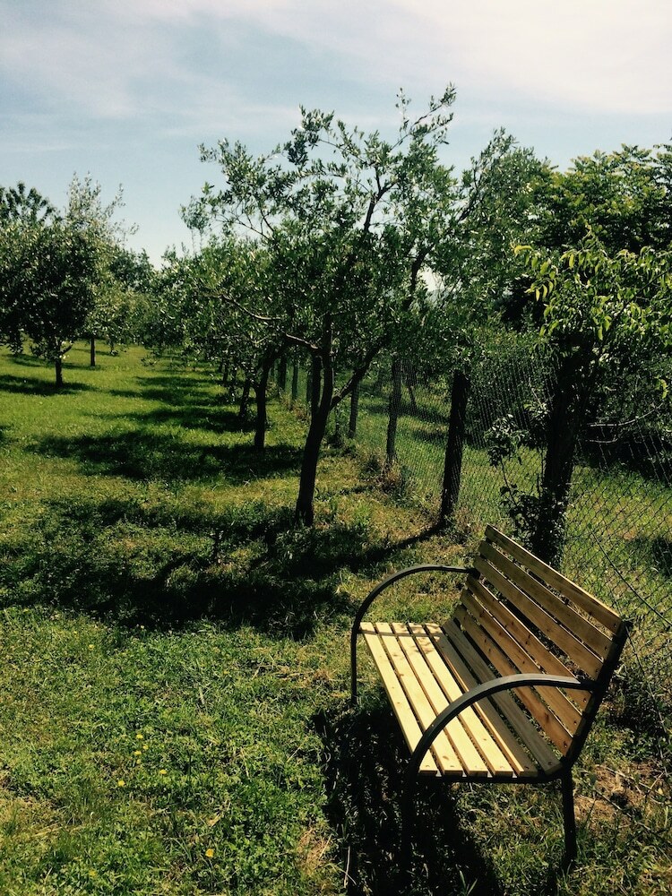 Agroturismo Bio Agriturismo Valle Dei Calanchi
