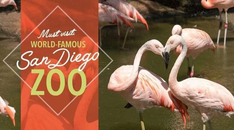 Hotel Kings Inn San Diego - Seaworld - Zoo