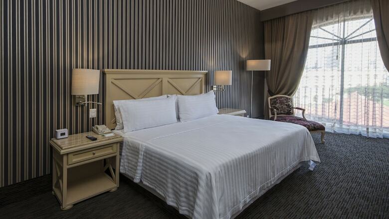 Hotel Holiday Inn Queretaro-centro Historico