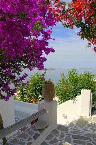 Hotel Vista Loca