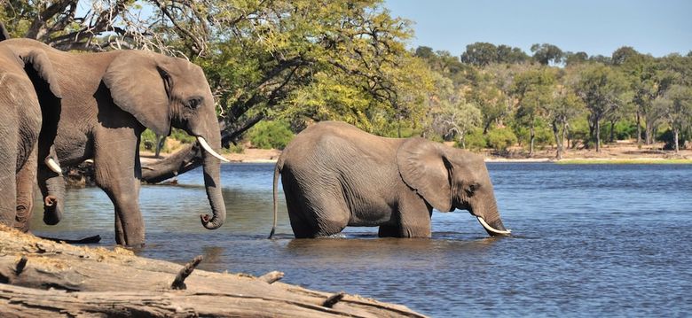 Posada Thebe River Safaris