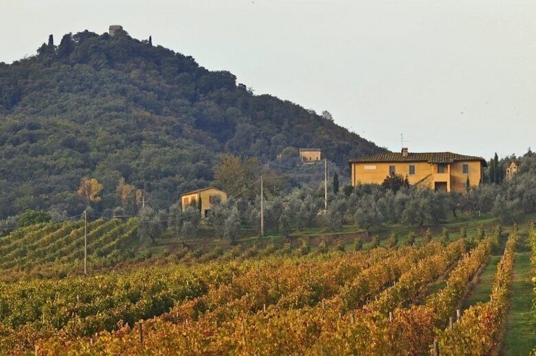 Agroturismo Petrolo