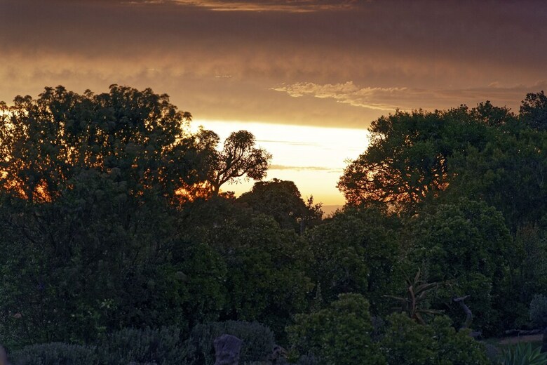 Posada Elephants Lodge - Bellevue Forest Reserve