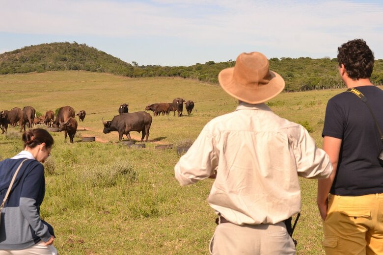 Posada Elephants Lodge - Bellevue Forest Reserve