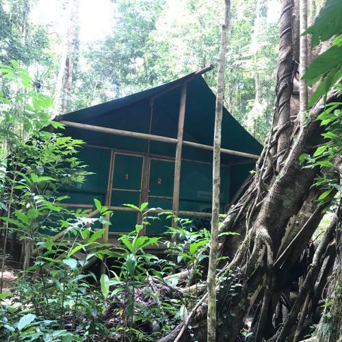 Lodge Daintree Crocodylus Village
