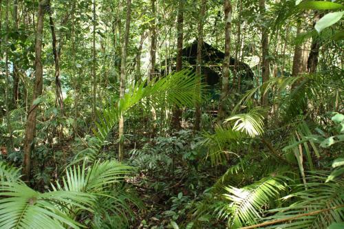 Lodge Daintree Crocodylus Village
