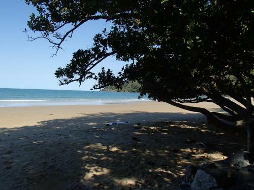 Lodge Daintree Crocodylus Village