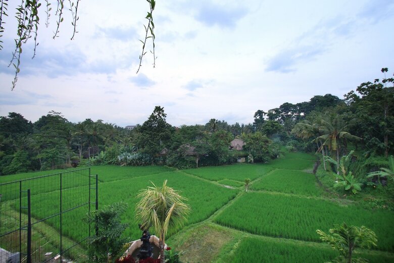 Hotel Byasa Ubud