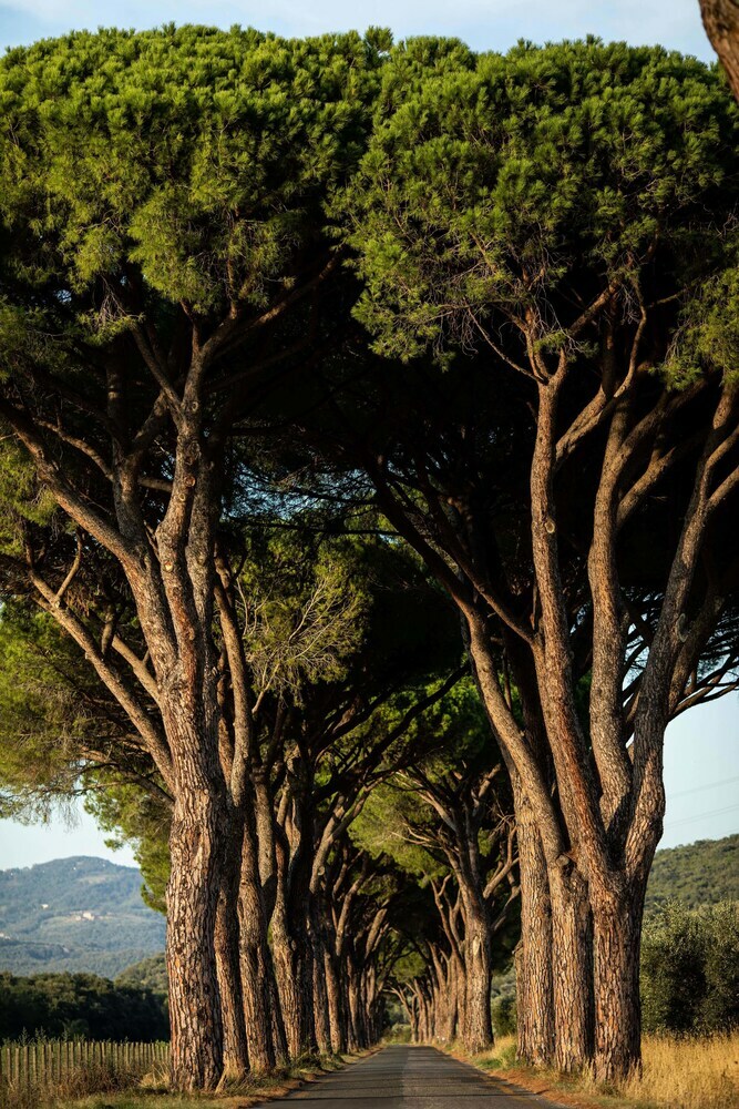 Agroturismo La Pescaia Resort
