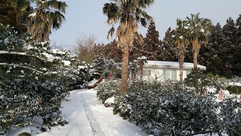 Jeju Casablanca