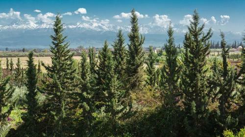 Hotel L�oliveraie De L�atlas