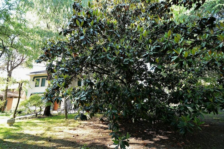 Apartamento Chiara