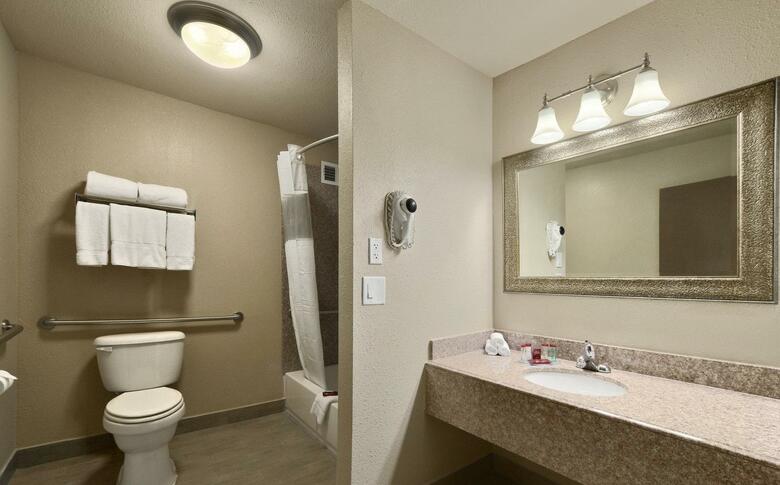 Hotel Ramada By Wyndham Houston Intercontinental Airport South