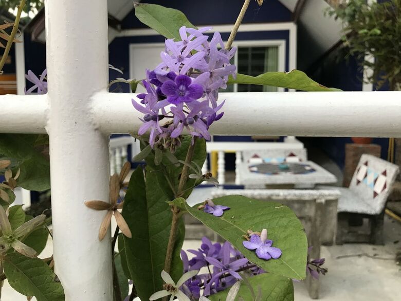 Hotel Shin Sane Guesthouse