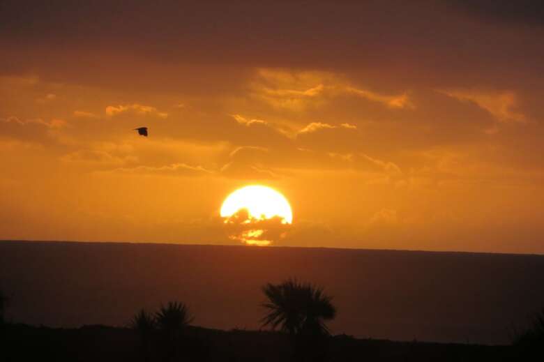 Koru Beach Cabin & B&B Homestay