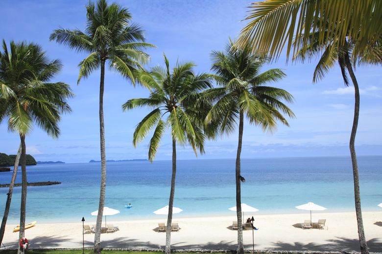 Apartamento Palau Pacific Resort