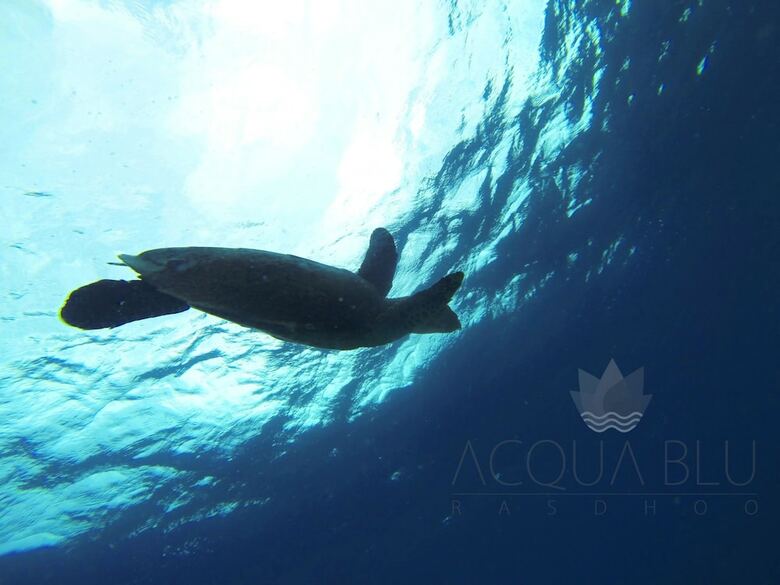 Hotel Acqua Blu Rasdhoo