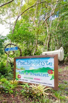 Bed & Breakfast Epiphyte B & B