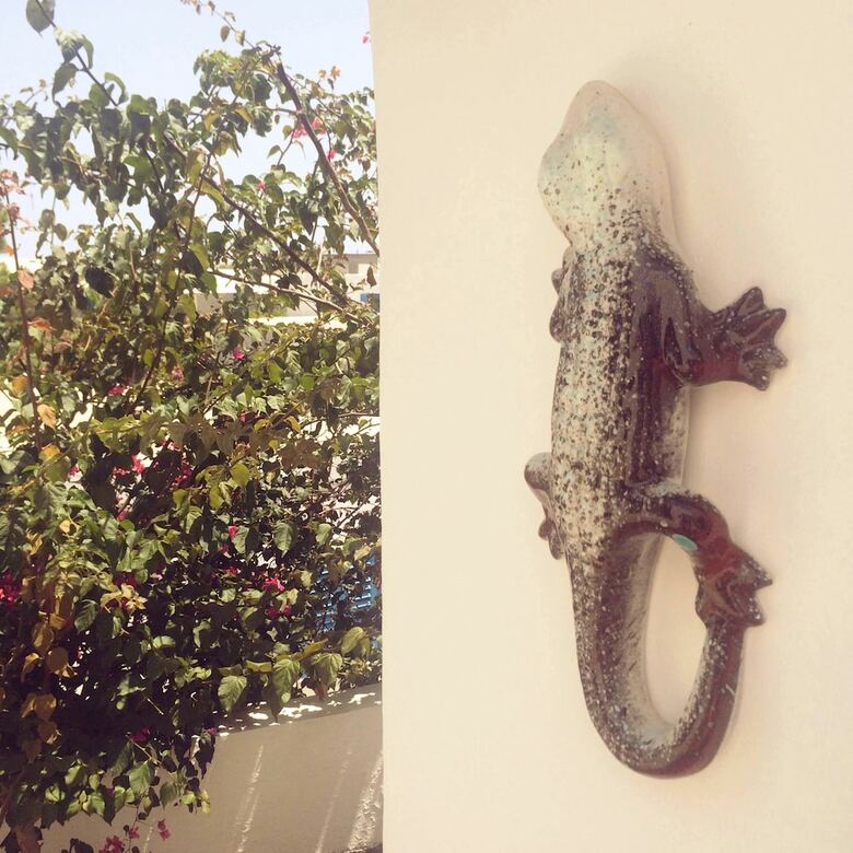 Hotel Panareal