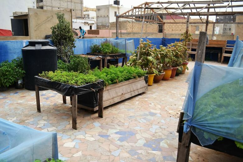 Hostal Viavia Senegal Dakar - Hostel/backpacker