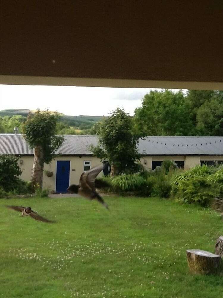 Hotel Ffos Y Ffin - Ascension In The Fields