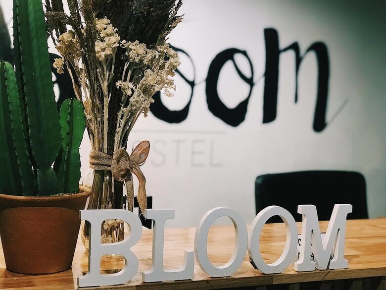 Hostal The Bloom Hostel