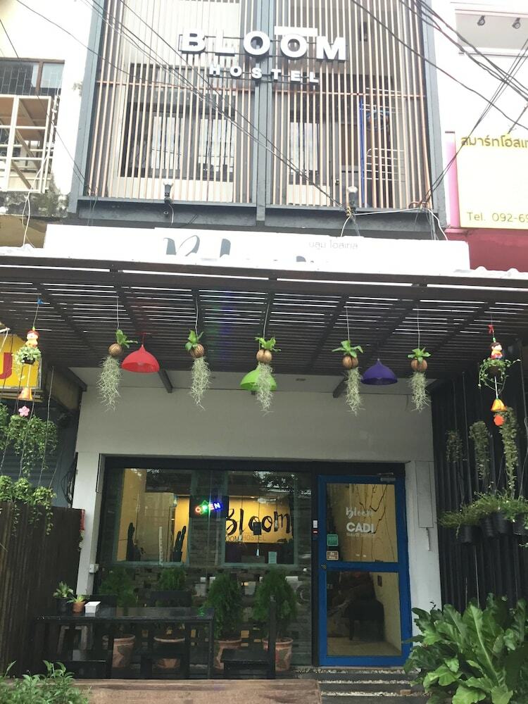 Hostal The Bloom Hostel