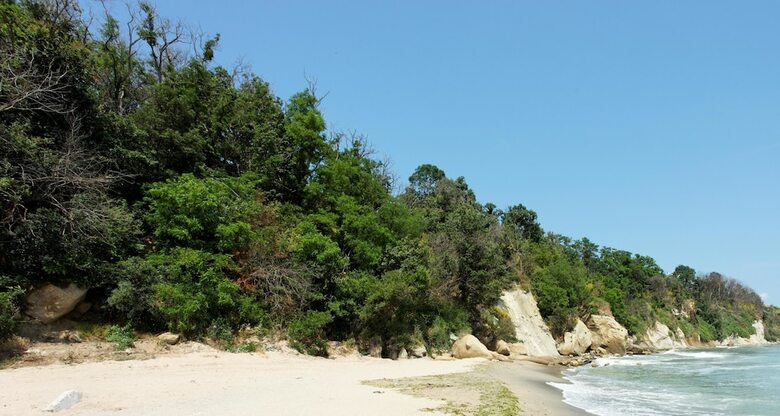Hotel Vemara Club- All Inclusive