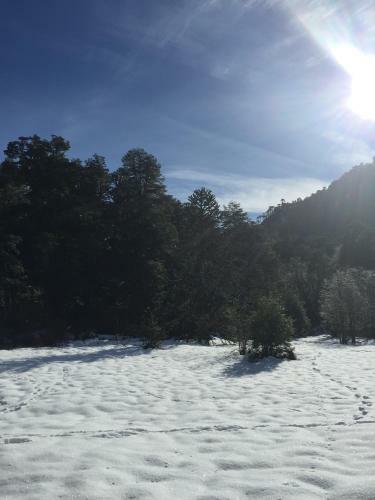 Lodge Nevados De Sollipulli