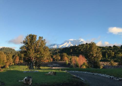 Caba�a Lumihue En La Ensenada/puerto Varas