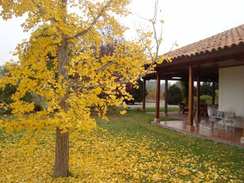 Bed & Breakfast Santa Filomena De Cunaco