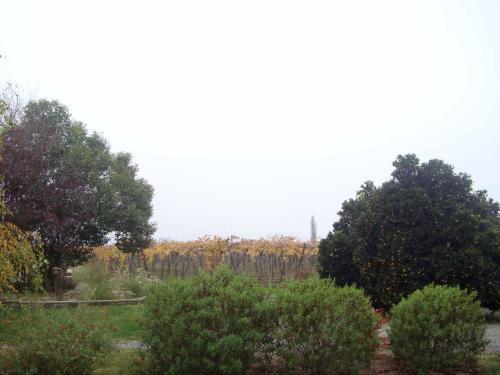 Bed & Breakfast Santa Filomena De Cunaco