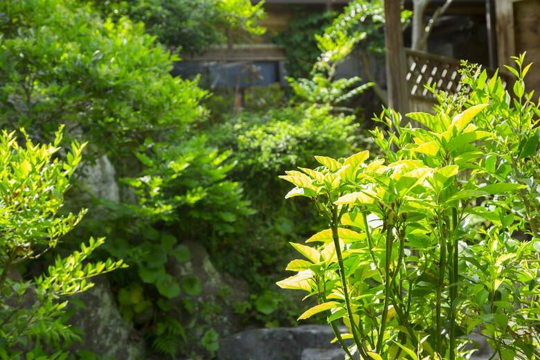 Ryokan Nobiru Sansou