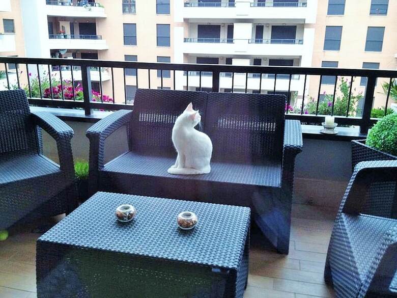 Hotel Domus Al Parco Guest House