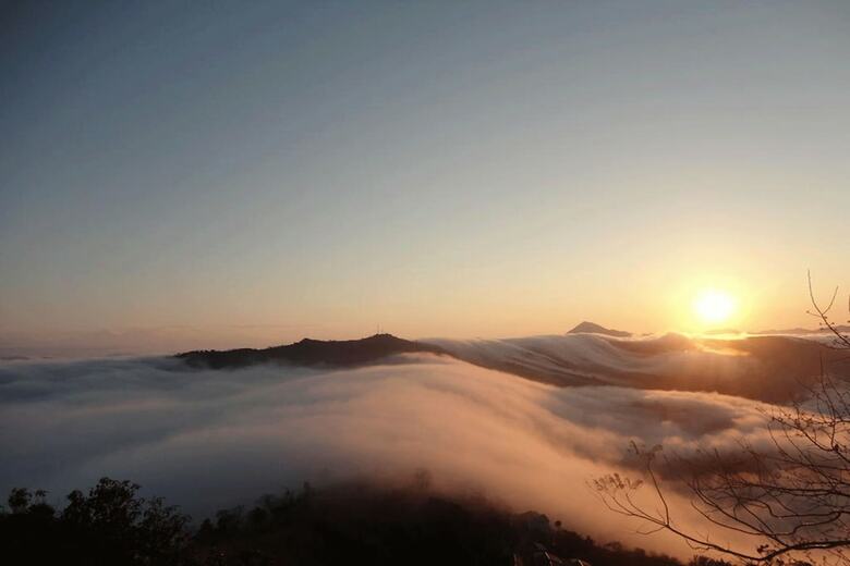 Bed & Breakfast Horizon Homestay