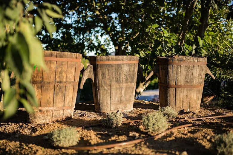Hotel Agroturismo Ses Vistes