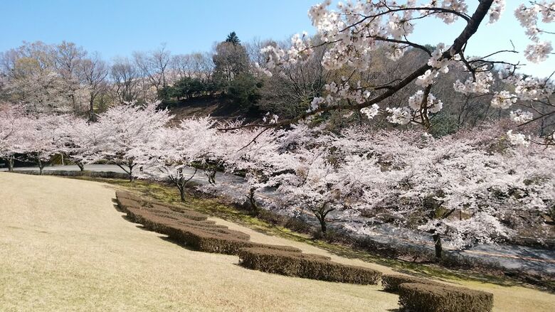 Izu Marriott Hotel Shuzenji