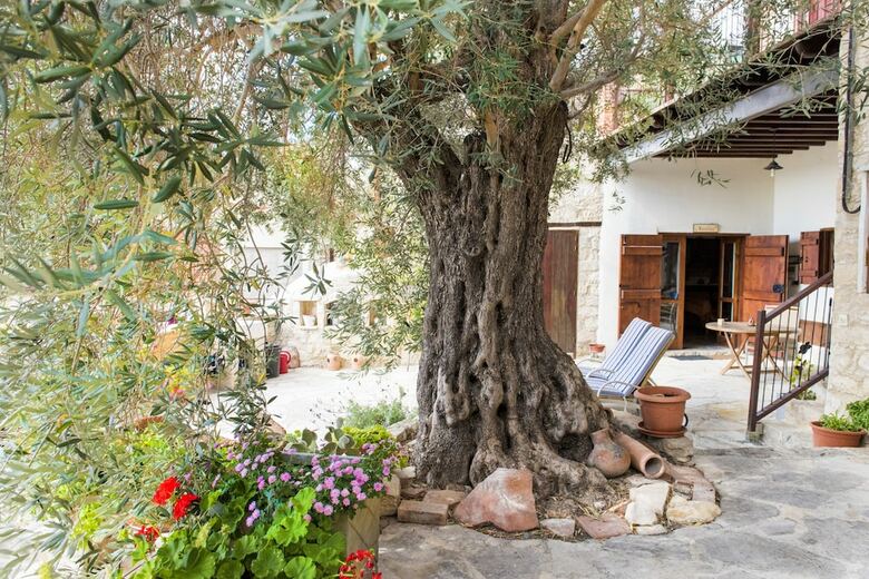 Apartamentos Vouni Lodge