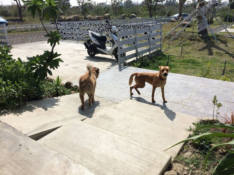 Bed & Breakfast True Love Villa