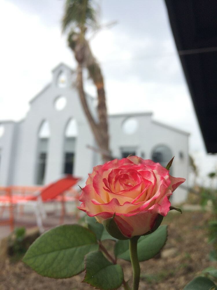 Bed & Breakfast True Love Villa