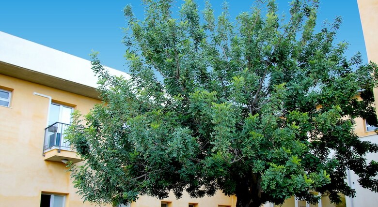 Hotel Zaiera Resort Club