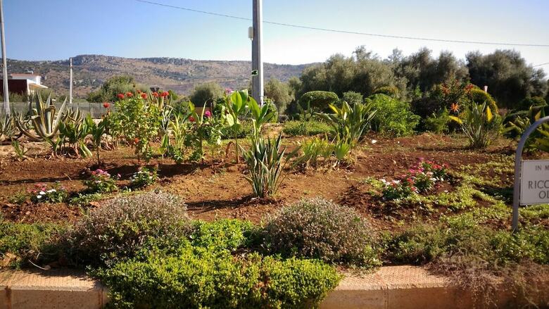 Hotel Zaiera Resort Club