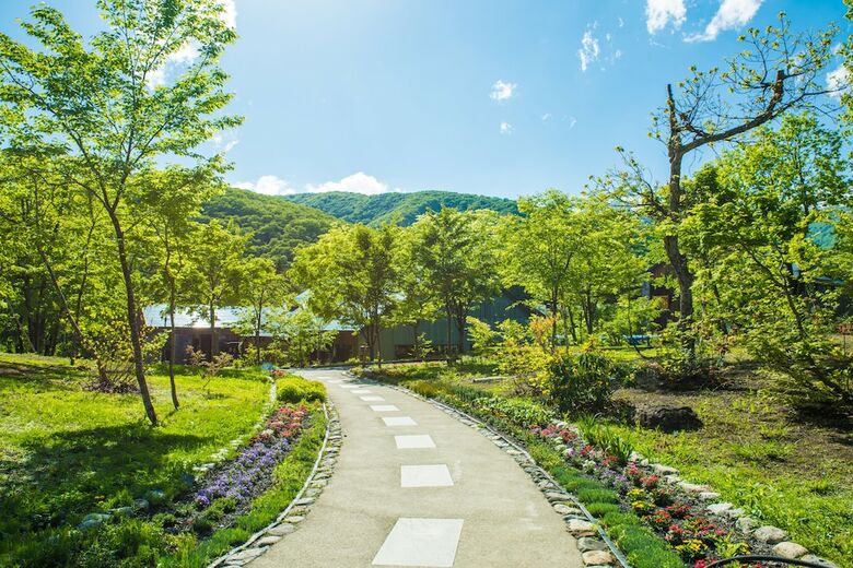 Hotel Sierra Resort Hakuba