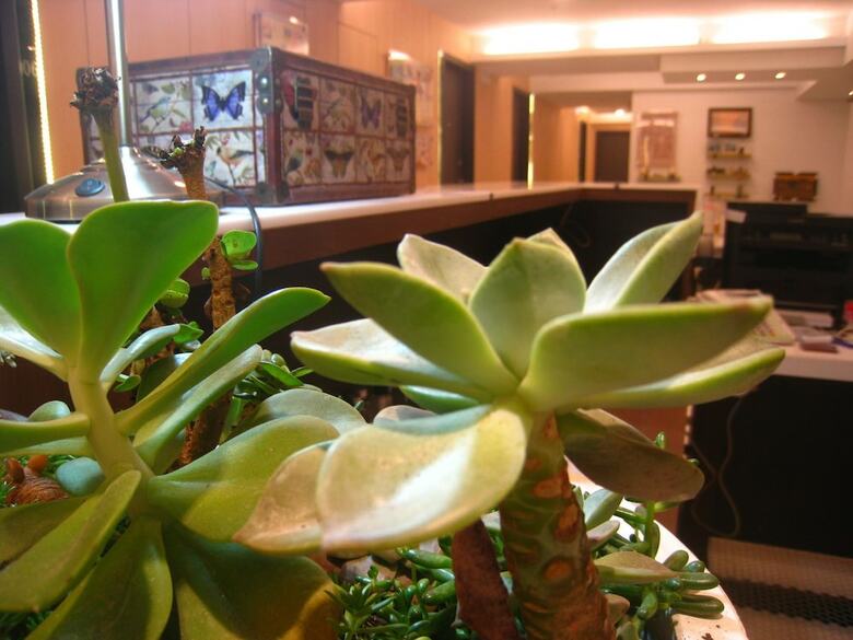 Formosa Boulevard Station Garden Hotel