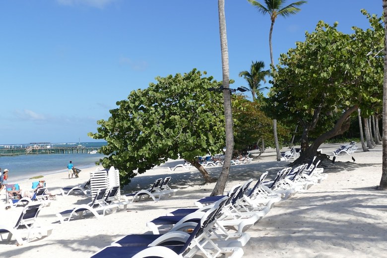 Beach Front Luxury Apartment - Bluebeach