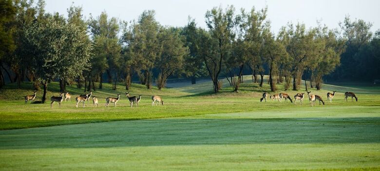 Golf Hotel